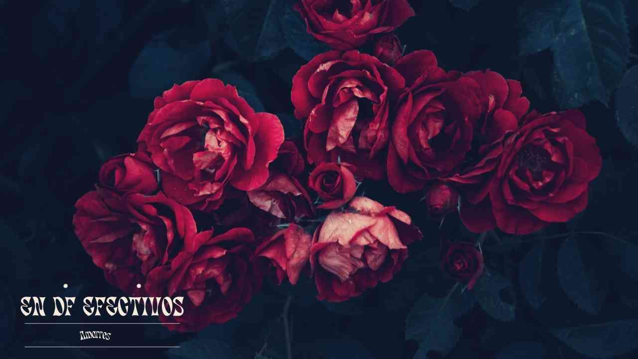 Brujo Adelfo Chaneque realizando un ritual de amarres de amor en México